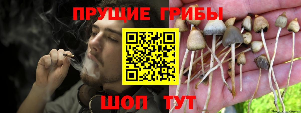 Галлюциногенные грибы Psilocybine cubensis  Вход с VPN  Алейск 